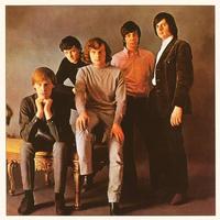 The 'Angry' Young Them ~ LP x1